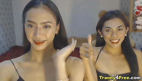 Sexy asian shemale with small tits gets double cocked