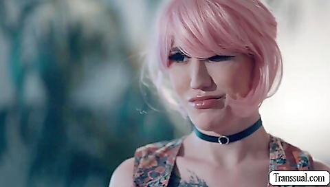 Shemale with a tattooed pussy gets fucked in the ass